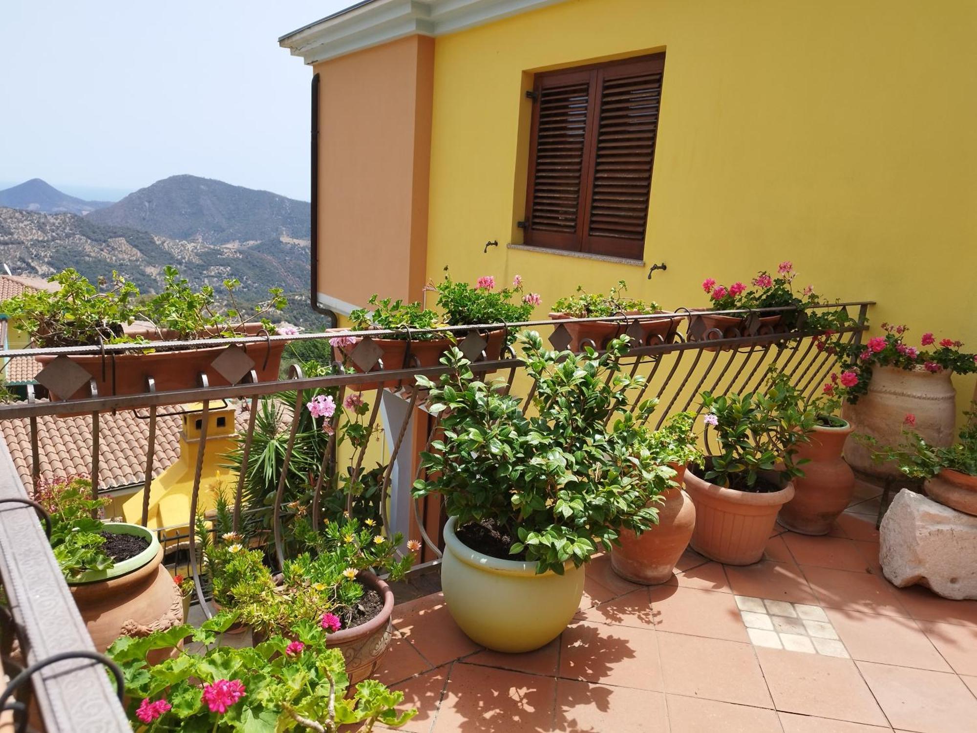 Appartamenti La Collina Jerzu ภายนอก รูปภาพ